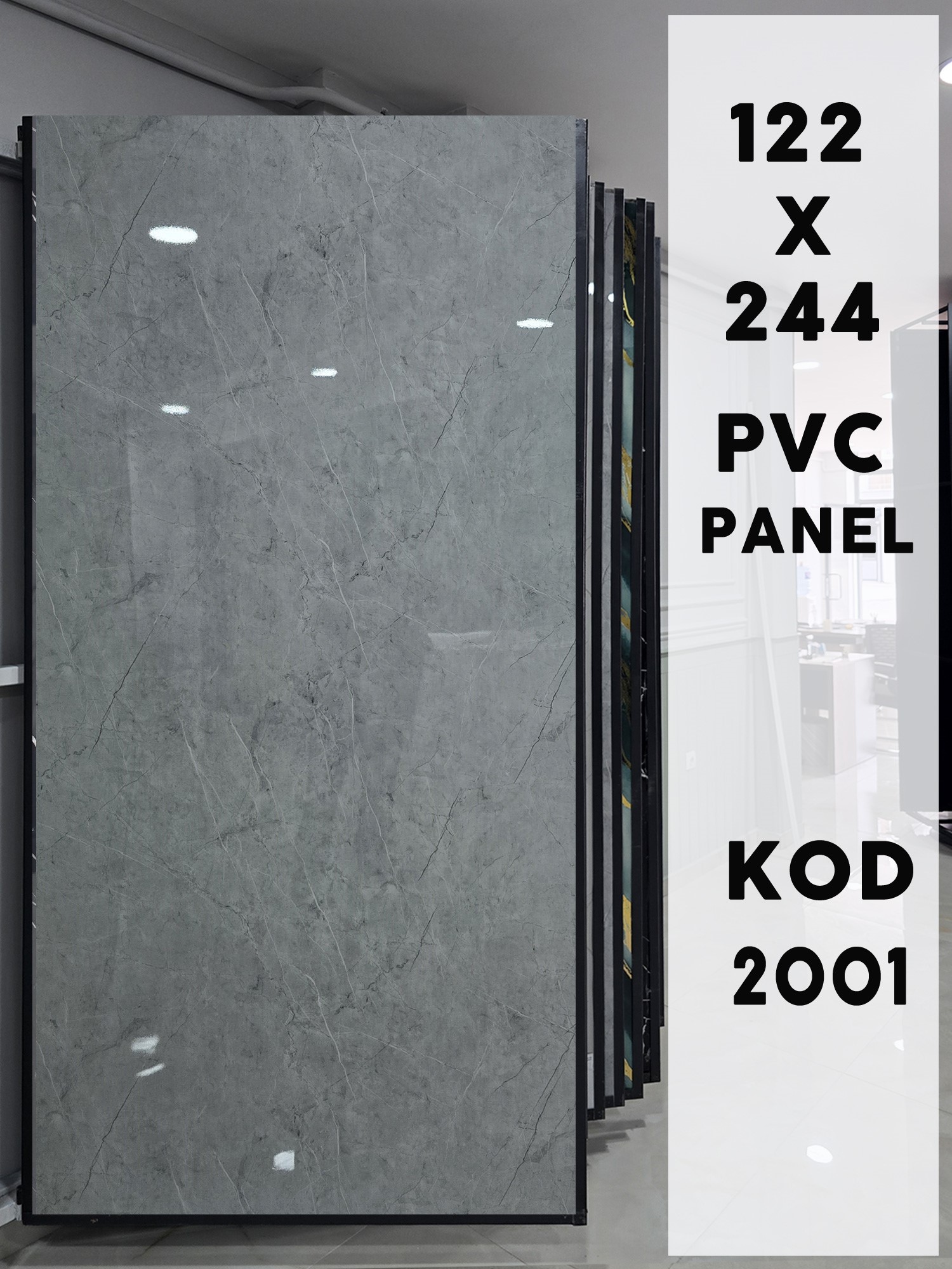 122x244 Panel kod 2001